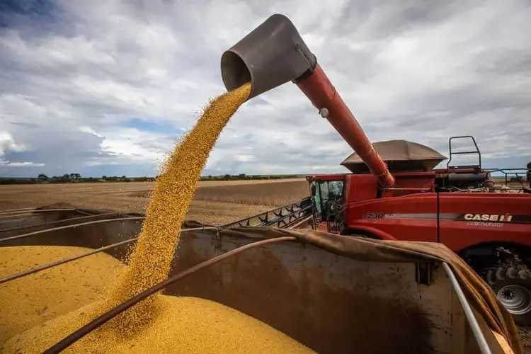 Alta na produtividade da soja eleva estimativas para a safra 2024/25