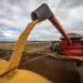 Alta na produtividade da soja eleva estimativas para a safra 2024/25