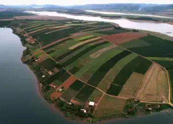 12,3 mil famílias acampadas serão assentadas com desapropriação de sete áreas para reforma agrária