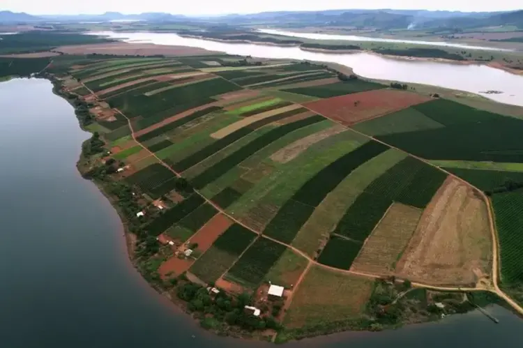12,3 mil famílias acampadas serão assentadas com desapropriação de sete áreas para reforma agrária
