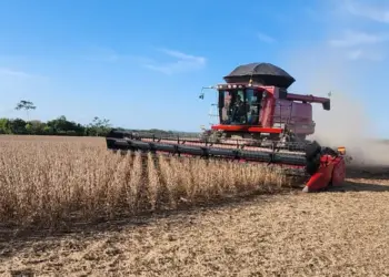 Tocantins deve registrar recorde na produção de soja com 5,12 milhões de toneladas em 2025