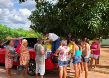 Sesc Mesa Brasil no Tocantins recebe 1 tonelada de alimentos de produtores rurais por meio da Conab