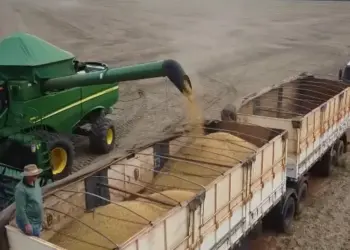 Safra recorde ganha força enquanto colheita da soja avança pelo país