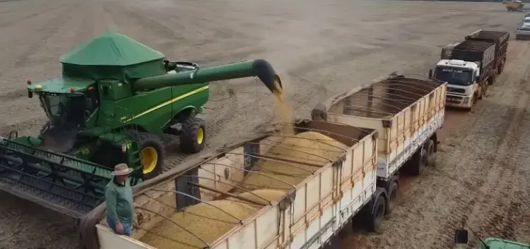 Safra recorde ganha força enquanto colheita da soja avança pelo país