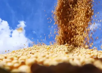 Com clima favorável, colheita de soja avança e atinge 82% no Brasil