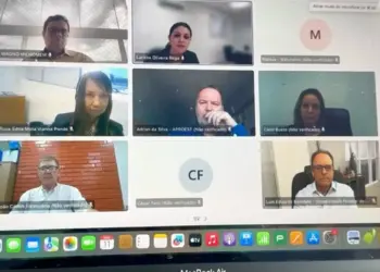Aproest debate demandas e apresenta panorama do Polo de Agricultura Irrigada do Sudoeste do Tocantins ao MIDR