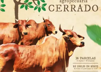 Primeiro Leilão Agropecuária Cerrado promete ofertas exclusivas e genética de alto padrão