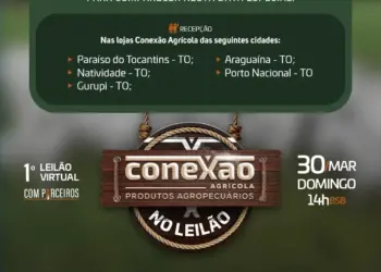 Leilão virtual do Grupo Conexão Agrícola ofertará 2 mil animais no Tocantins