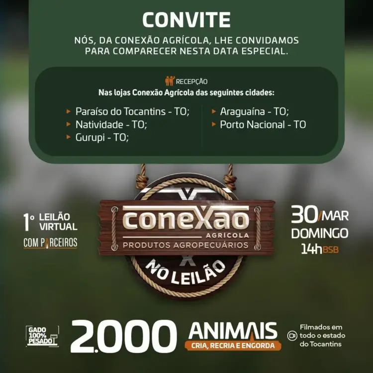 Leilão virtual do Grupo Conexão Agrícola ofertará 2 mil animais no Tocantins