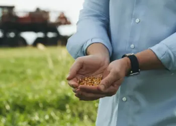 Direito do produtor: como obter a prorrogação do prazo de pagamento de empréstimos e financiamentos em casos de frustração de safra