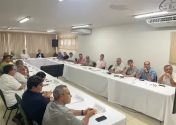 CNA debate cenários e perspectivas do agro para 2025