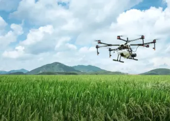 FAPT investe em pesquisa que visa criar Inteligência Artificial capaz de monitorar plantações