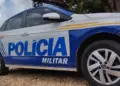 Motociclista morre ao atropelar boi que invadiu a pista da TO-387