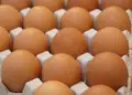 Ovo se torna item de contrabando nos EUA