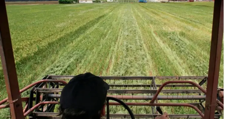 Conab propõe novas regras para aquisição de grãos e formação de estoques públicos