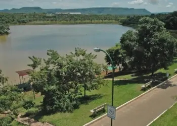 Prefeitura investiga morte de macaco no Parque Cesamar
