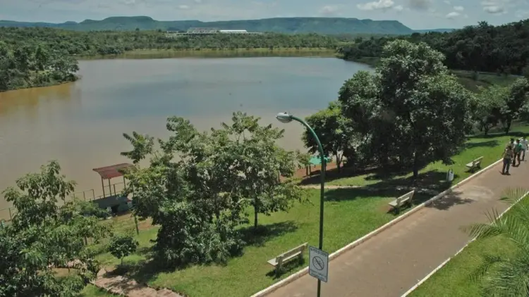 Prefeitura investiga morte de macaco no Parque Cesamar