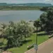 Prefeitura investiga morte de macaco no Parque Cesamar