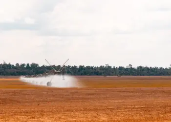 Produtores rurais podem lucrar com créditos de carbono, mas precisam atender a critérios específicos