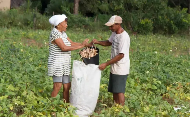 Com crescimento de 27%, microcrédito transforma a realidade de famílias rurais no Tocantins