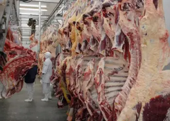 Encontro reúne secretários municipais para tratar da adesão sanitária de produtos de origem animal