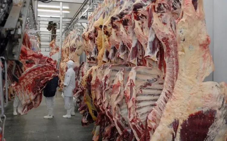 Encontro reúne secretários municipais para tratar da adesão sanitária de produtos de origem animal