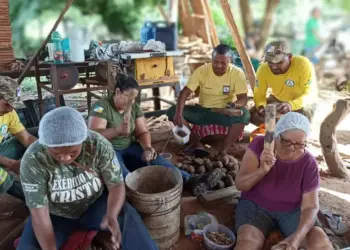 Produção de óleo de babaçu em Araguacema ganha força com apoio do Naturatins às mulheres agroextrativistas