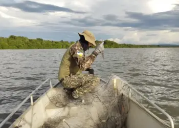 Mais de 5 mil metros de redes são apreendidos em ação contra pesca predatória no Lago