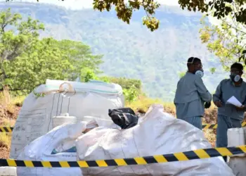 Pequenos e médios produtores de 39 municípios serão atendidos por ação itinerante de recolhimento de embalagens