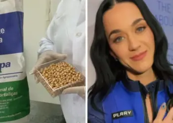 Você sabia que a Embrapa levou grão-de-bico e batata-doce ao espaço em missão com Katy Perry?