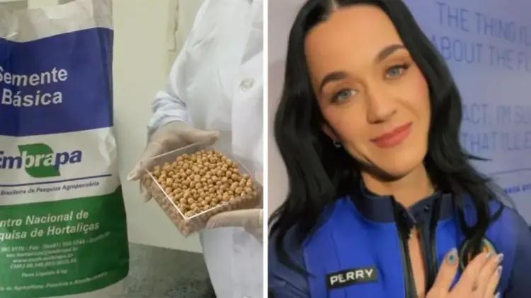 Você sabia que a Embrapa levou grão-de-bico e batata-doce ao espaço em missão com Katy Perry?
