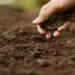 Dia Nacional da Conservação do Solo destaca a importância da agricultura sustentável