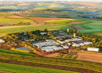 Embrapa Soja completa 50 anos como referência em pesquisa e desenvolvimento