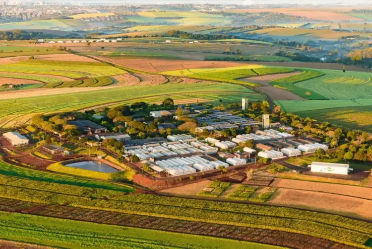 Embrapa Soja completa 50 anos como referência em pesquisa e desenvolvimento