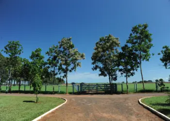 Contratos rurais: A importância da segurança jurídica em negócios de alto valor