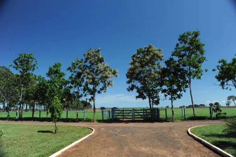 Contratos rurais: A importância da segurança jurídica em negócios de alto valor