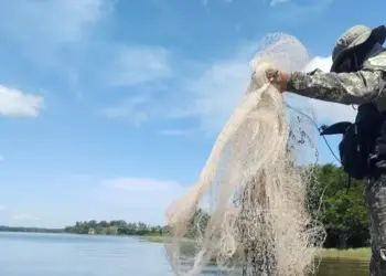 Fiscalização conjunta contra pesca ilegal é discutida em audiência entre Estado e órgãos de controle