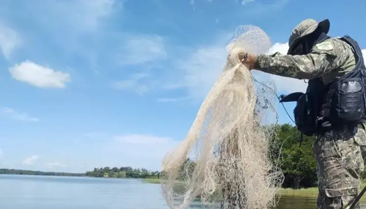 Fiscalização conjunta contra pesca ilegal é discutida em audiência entre Estado e órgãos de controle