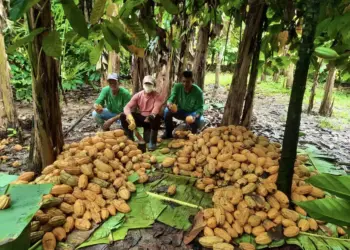 Plataforma tecnológica conecta comunidades ribeirinhas para vender sua produção em todos país   