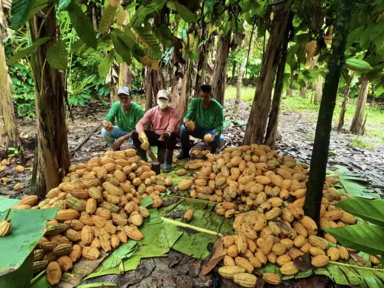 Plataforma tecnológica conecta comunidades ribeirinhas para vender sua produção em todos país   