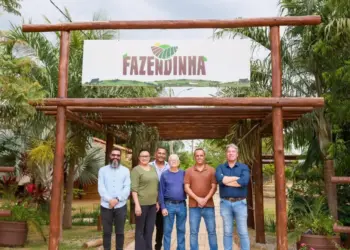 Rumo à Agrotins 2025: Seaso visita Fazendinha em ação técnica preparatória