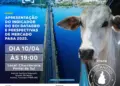 Palmas recebe evento sobre mercado do boi com especialistas da DATAGRO