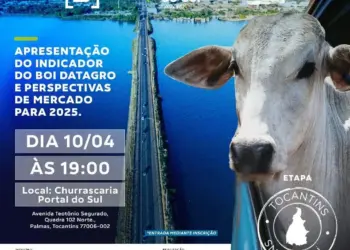 Palmas recebe evento sobre mercado do boi com especialistas da DATAGRO