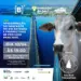 Palmas recebe evento sobre mercado do boi com especialistas da DATAGRO