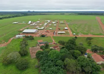 Com Agro 360, cidades do sul do Tocantins ganham destaque na economia e no turismo de negócios