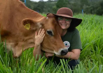 Fazenda Buritizal, no Tocantins, alia sustentabilidade e inovação na produção de queijos
