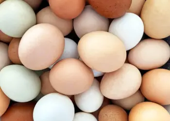 Alta no preço dos ovos impacta setor de alimentação fora do lar