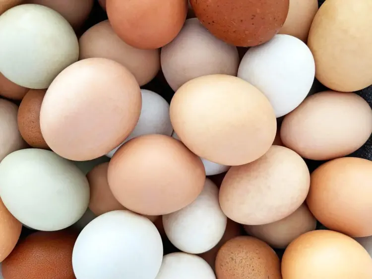 Alta no preço dos ovos impacta setor de alimentação fora do lar