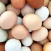 Alta no preço dos ovos impacta setor de alimentação fora do lar