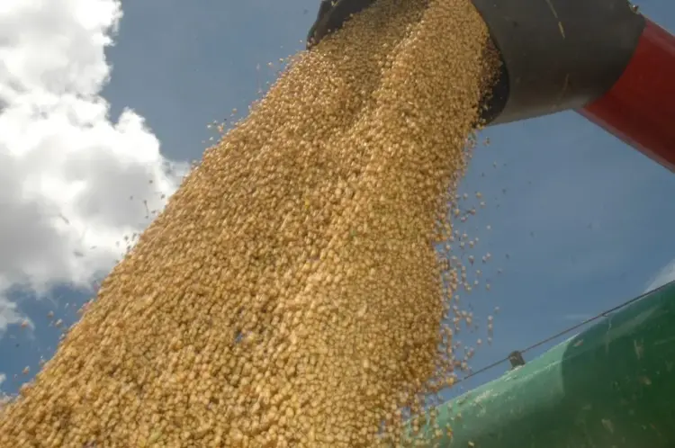 Safra de grãos no Tocantins pode bater recorde, superando 8,7 milhões de toneladas